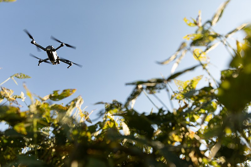 File:Drone in Soybean Field (48750573146).jpg